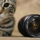 Illustration for article titled Photo Mission Gallery